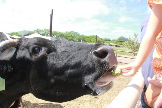 Naked Cow Dairy Farm & Creamery